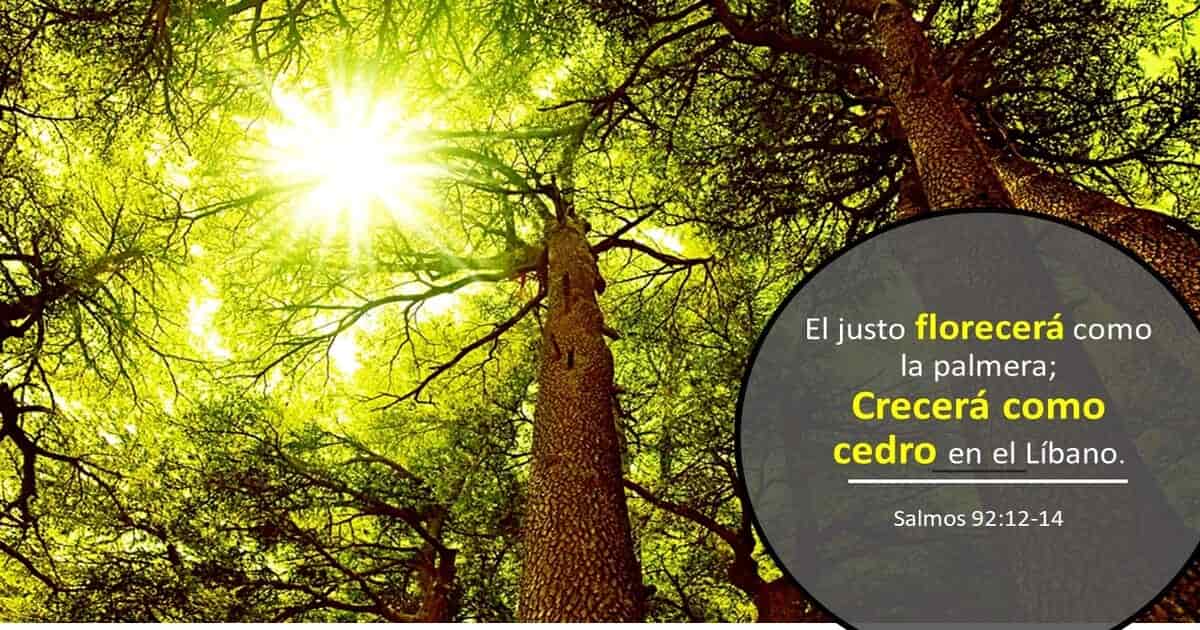 ¿Qué te Impide Crecer?