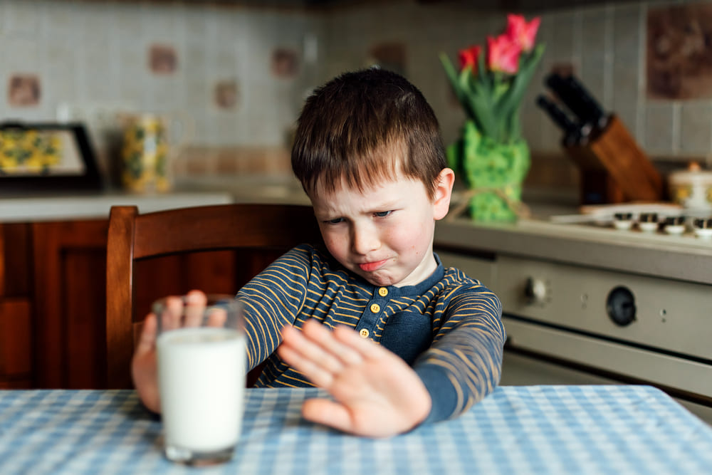 Consejos Para Padres Con Niños Que no Quieren Comer