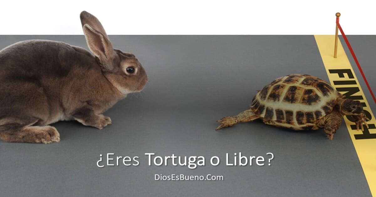 ¿Eres Tortuga o Libre?