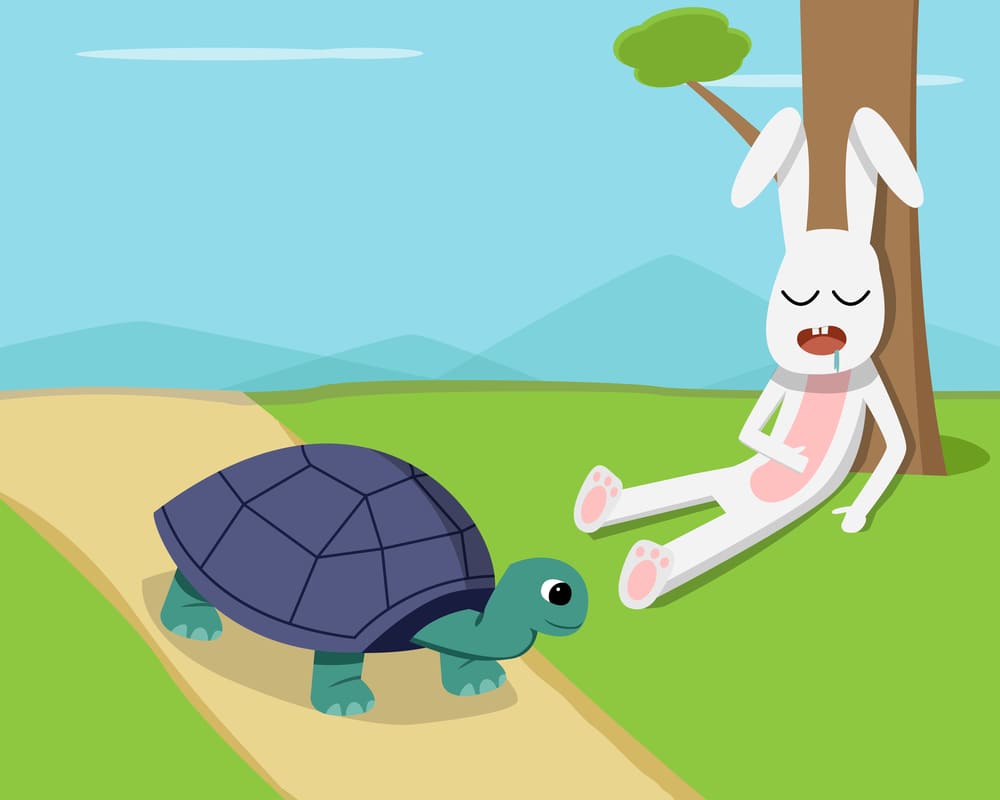 ¿Eres Tortuga o Libre?