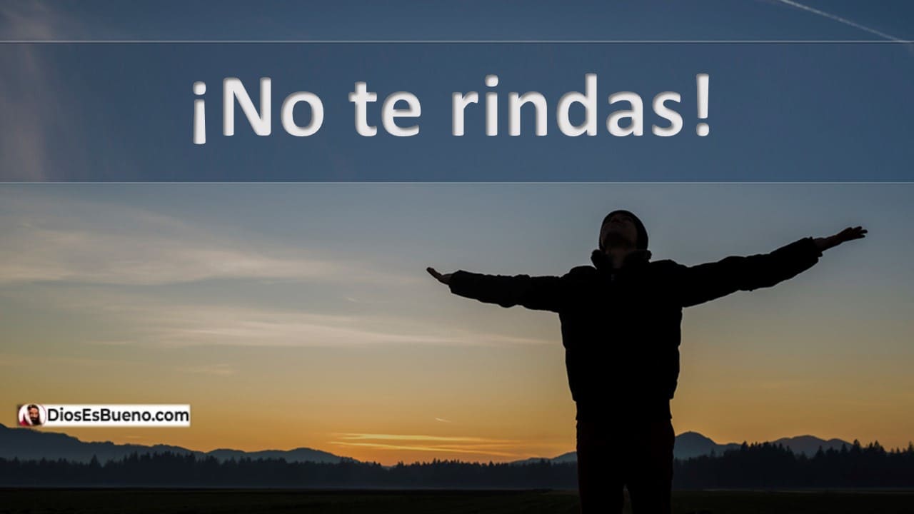 DIOS TE DICE HOY: No Abandones Tu Camino, No Desistas, No tires la ...