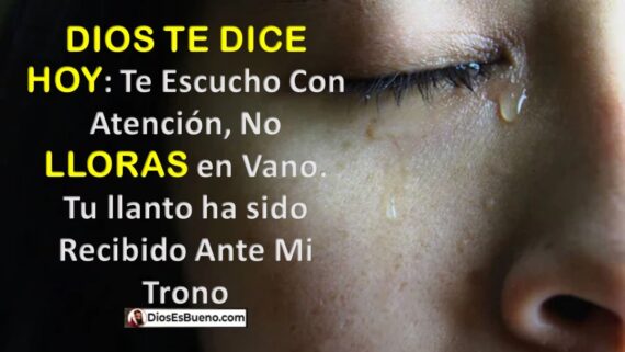 A menudo nos encontramos llorando en solitario. La tristeza, el dolor y la frustración pueden ser demasiado para una sola persona.