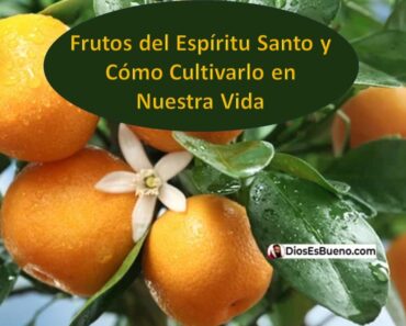 Frutos del Espíritu Santo y Cómo Cultivarlos en Nuestra Vida